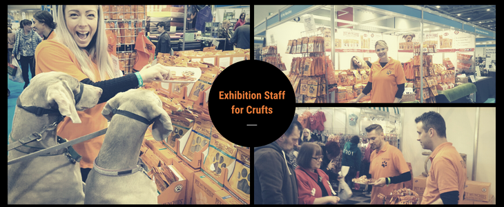 Exhibition Staff For Crufts